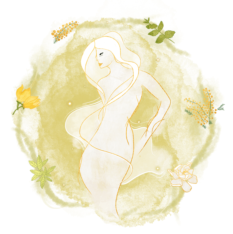 Dessin Sylphe